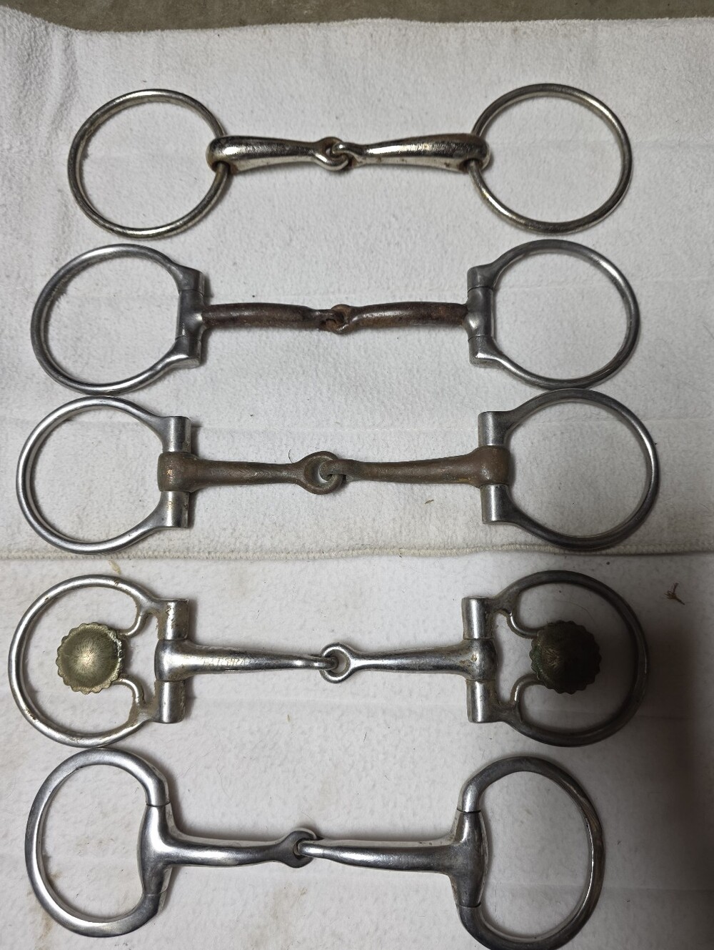 Five Snaffle Bits